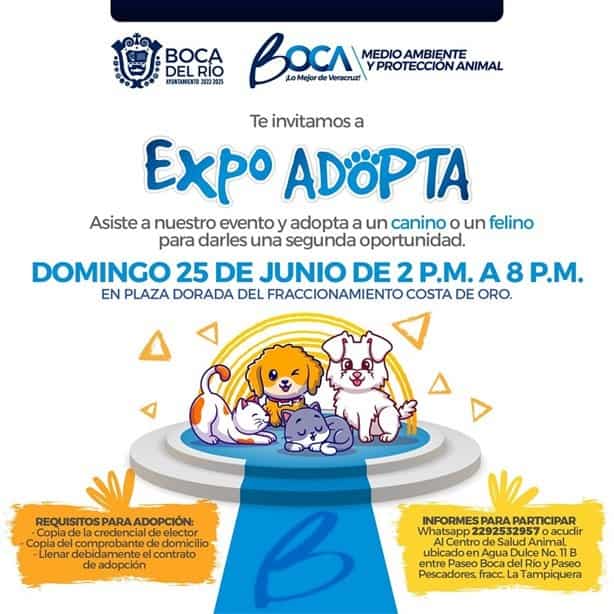 Invitan a la “Expo Adopta” un perro o gato en Boca del Río