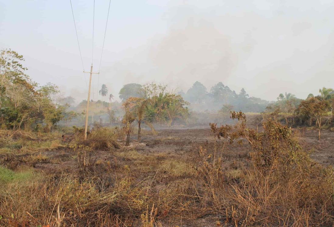 Se registran cuatro incendios forestales en los límites entre Veracruz y Chiapas