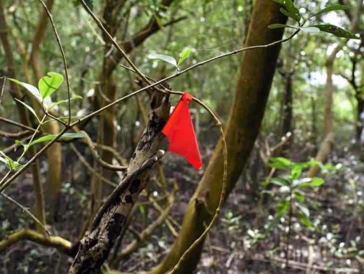 Exhuman madres buscadoras 17 cuerpos de fosa clandestina en Alvarado