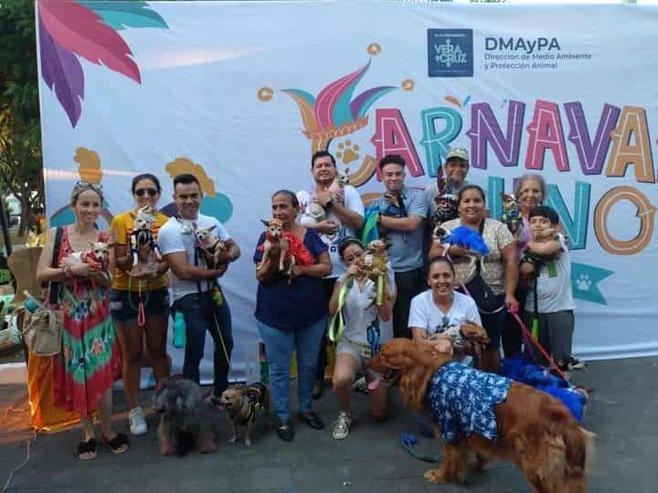 Recaudan más de 2 toneladas de croquetas en Carnaval Canino 2023, en Veracruz