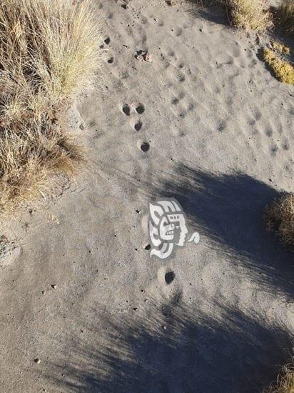 Encuentran huellas alienígenas en el Pico de Orizaba