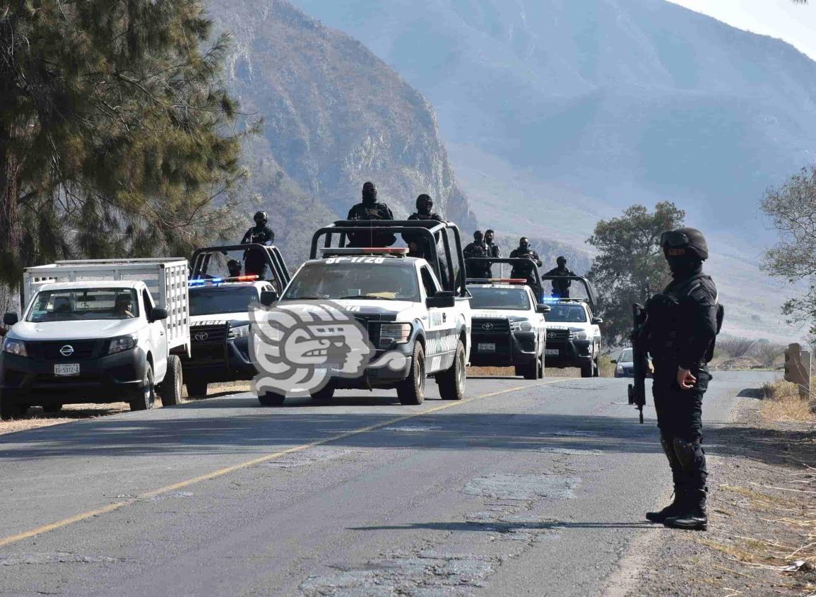 Siete grupos criminales dominan en mas de la mitad de Veracruz