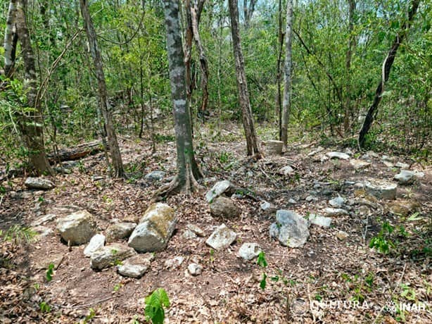 Hallan milenaria ciudad maya en reserva ecológica de Balamkú en Campeche