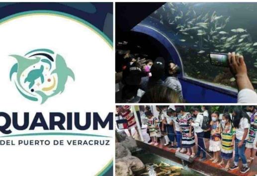 Invierten 32 mdp para equipar y ampliar al Aquarium de Veracruz