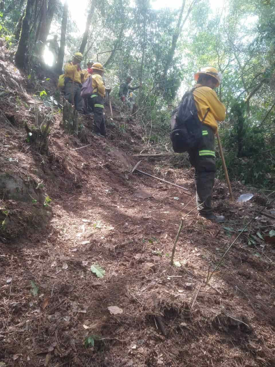 Logran liquidar incendio forestal en Acajete