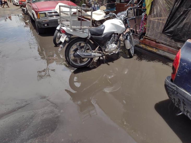 Lluvia deja peste en zona de mercados de Veracruz