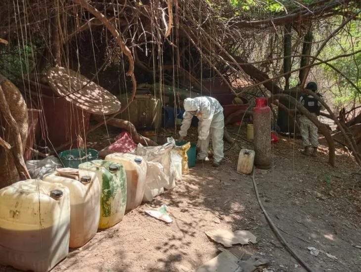 Desmantela Guardia Nacional laboratorio clandestino en Sinaloa