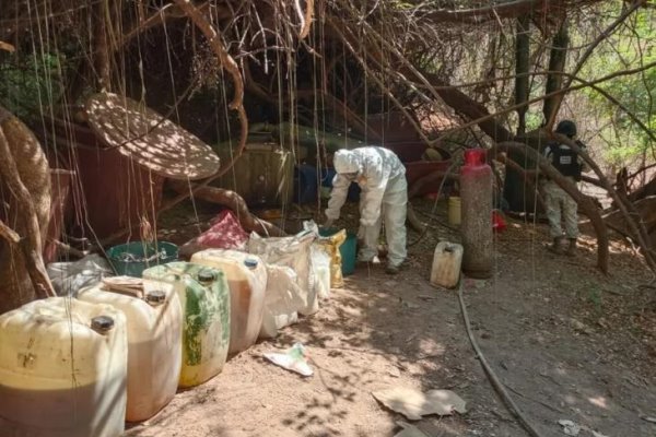 Desmantelan laboratorio clandestino en Sinaloa