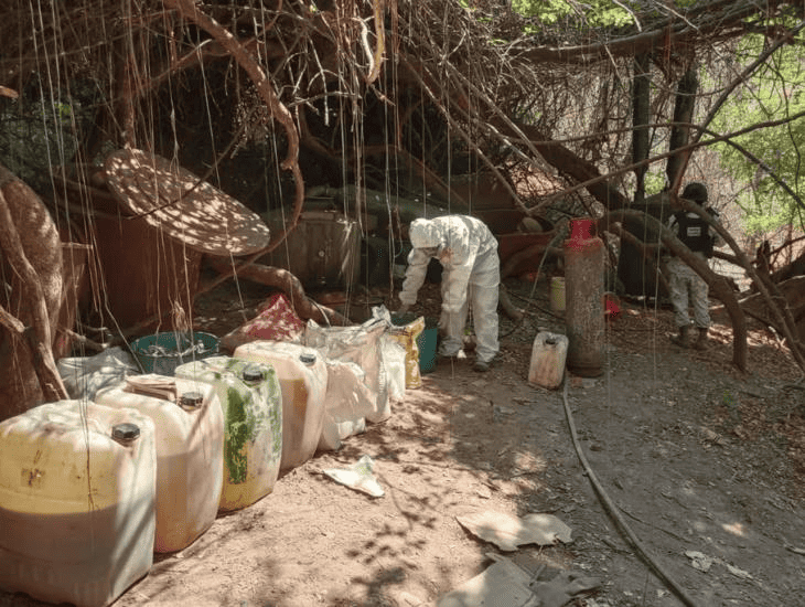 Guardia Nacional desmantela laboratorio clandestino en Sinaloa