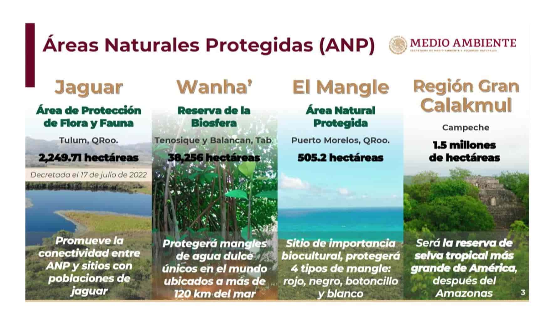 Semarnat ha declarado cuatro áreas naturales en ruta del Tren Maya