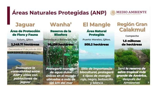 Declara Semarnat 4 áreas naturales protegidas en ruta del Tren Maya