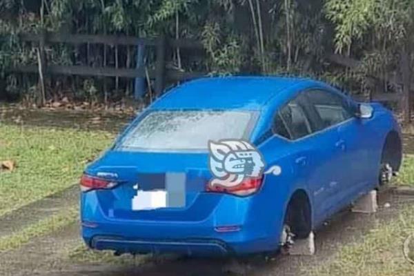 Bandas de ladrones arrasan con neumáticos en La Pradera y Las Haciendas