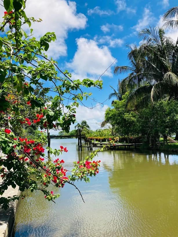 Descubre estos 5 AirBnb con las mejores albercas para hospedarte durante el Carnaval de Veracruz