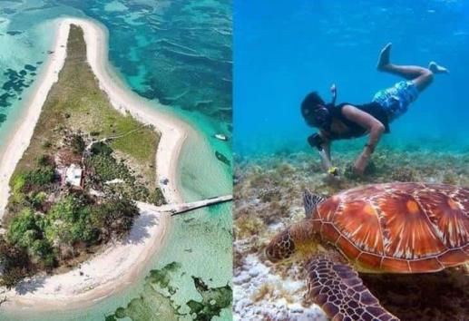 La isla de Enmedio en Veracruz, un espacio de belleza natural; aquí te decimos cómo llegar