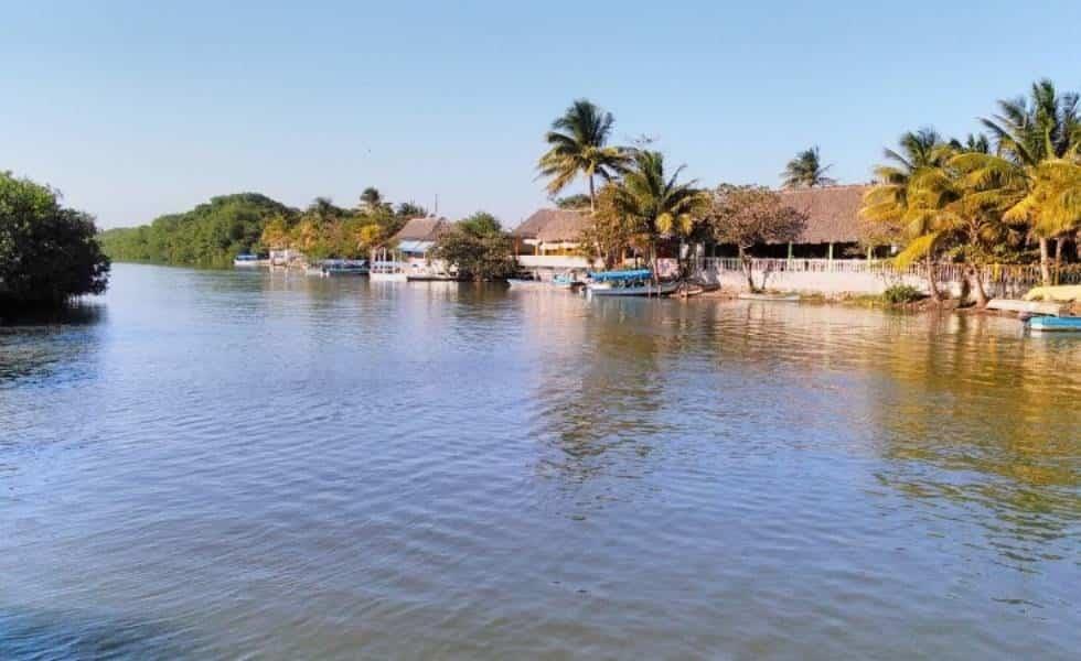 Invitan a participar en limpieza masiva de la laguna de Mandinga, en Veracruz