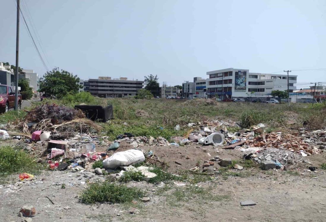 Ciudadanos convierten terreno abandonado en Veracruz en un basurero