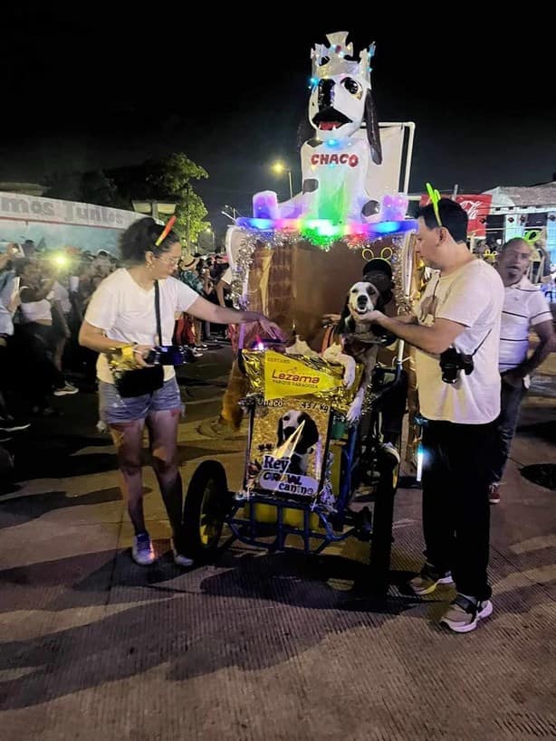 “Chaco”, primer rey canino que causó sensación en los desfiles del Carnaval de Veracruz 2023