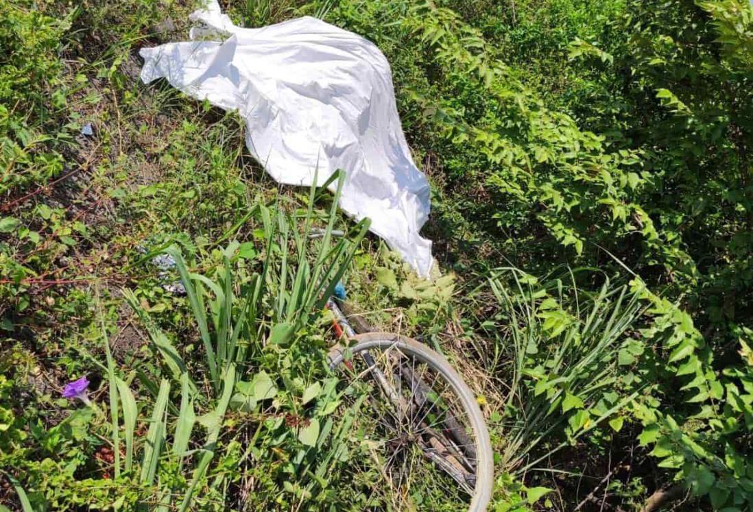 Ciclista muere arrollado en carretera de Álamo; conductor se fuga
