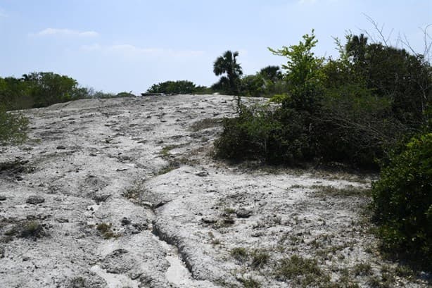 El misterioso volcán que nace en una comunidad de La Mixtequilla, Veracruz