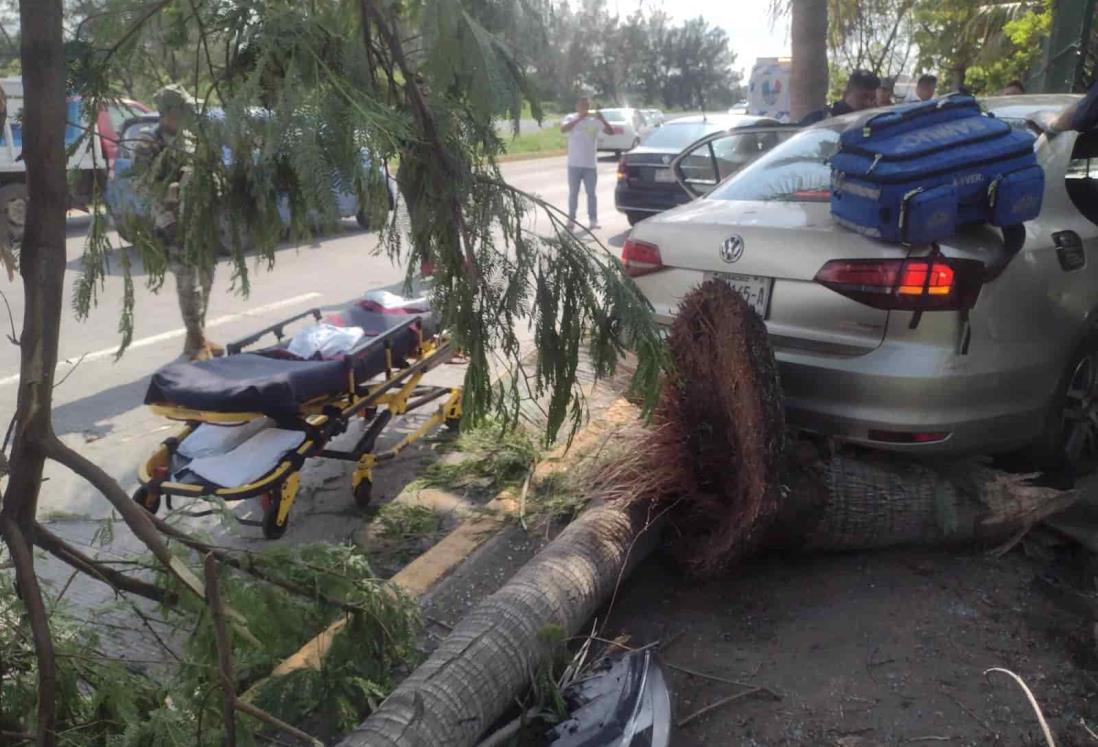 Mujer embarazada se estrella contra palmera y la arranca de tajo, en Veracruz