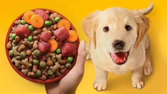 Pedigree: qué tan buena es la marca de croquetas para perro según la Profeco