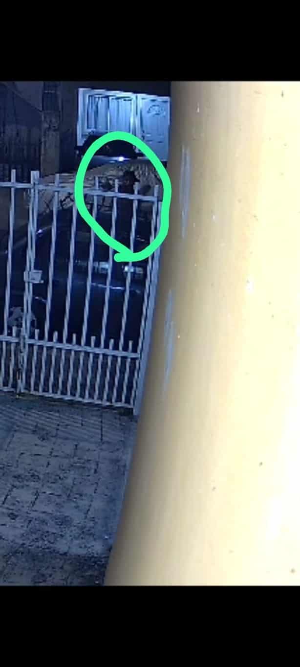 Alertan por ladrones de autopartes en fraccionamiento de Veracruz | VIDEO