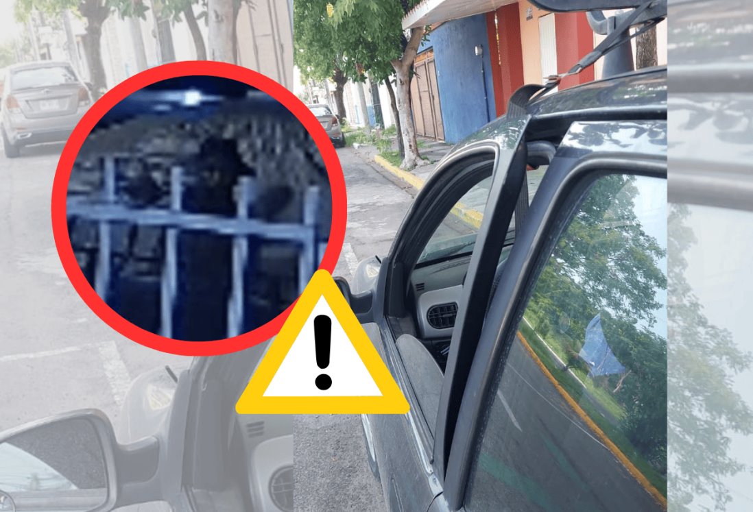 Alertan por ladrones de autopartes en fraccionamiento de Veracruz | VIDEO