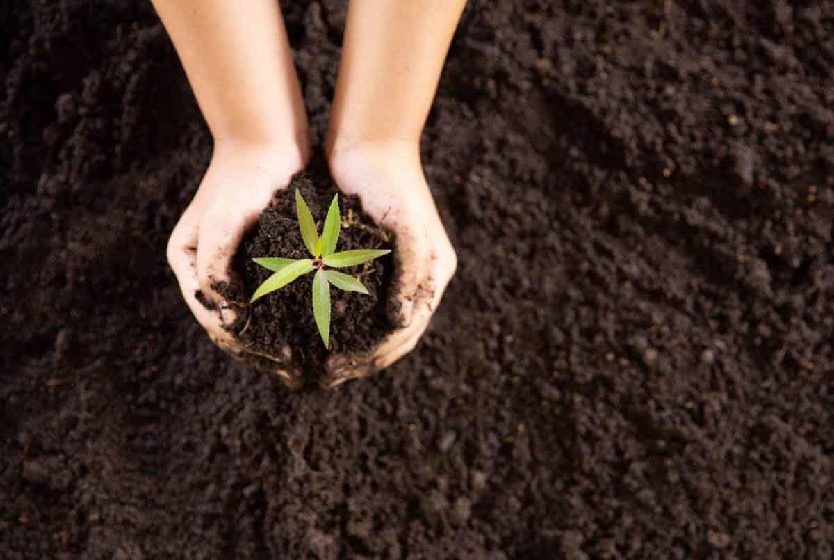 Conservación del suelo, base para la vida