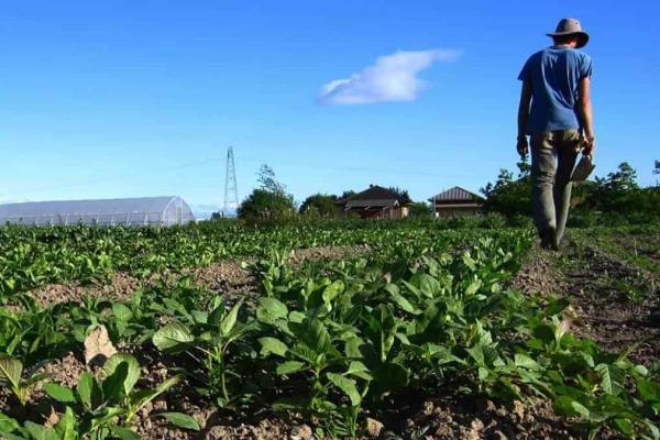 Falsos funcionarios de Sedarpa engañan a ayuntamientos de Veracruz