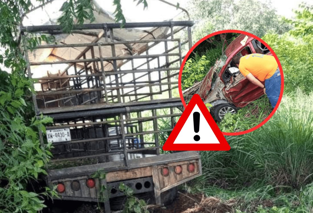 Automóvil choca con camioneta transportadora de cerdos en Cotaxtla