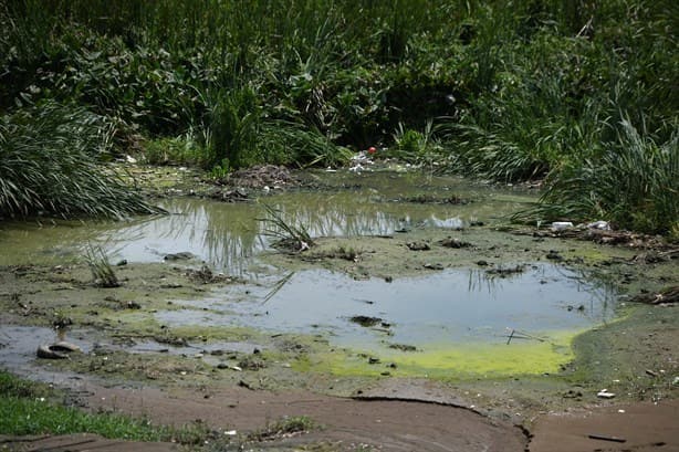 Río Medio, al borde de la extinción por relleno y construcción de vivienda en Veracruz