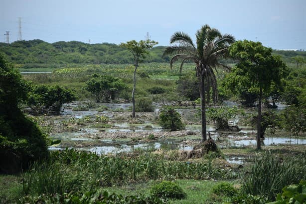 Río Medio, al borde de la extinción por relleno y construcción de vivienda en Veracruz