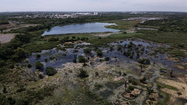 Río Medio, al borde de la extinción por relleno y construcción de vivienda en Veracruz