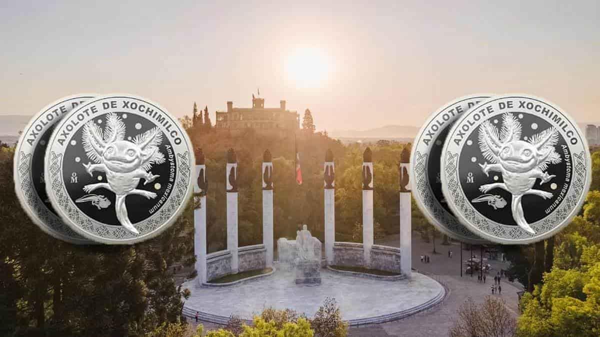 Lanzan moneda conmemorativa de ajolote por 100 años del Zoológico de Chapultepec