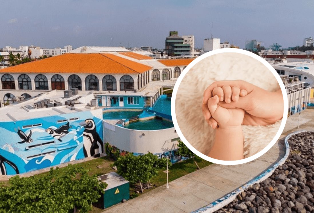 Localizan a niña de 1 año y 6 meses desaparecida en el Acuario de Veracruz