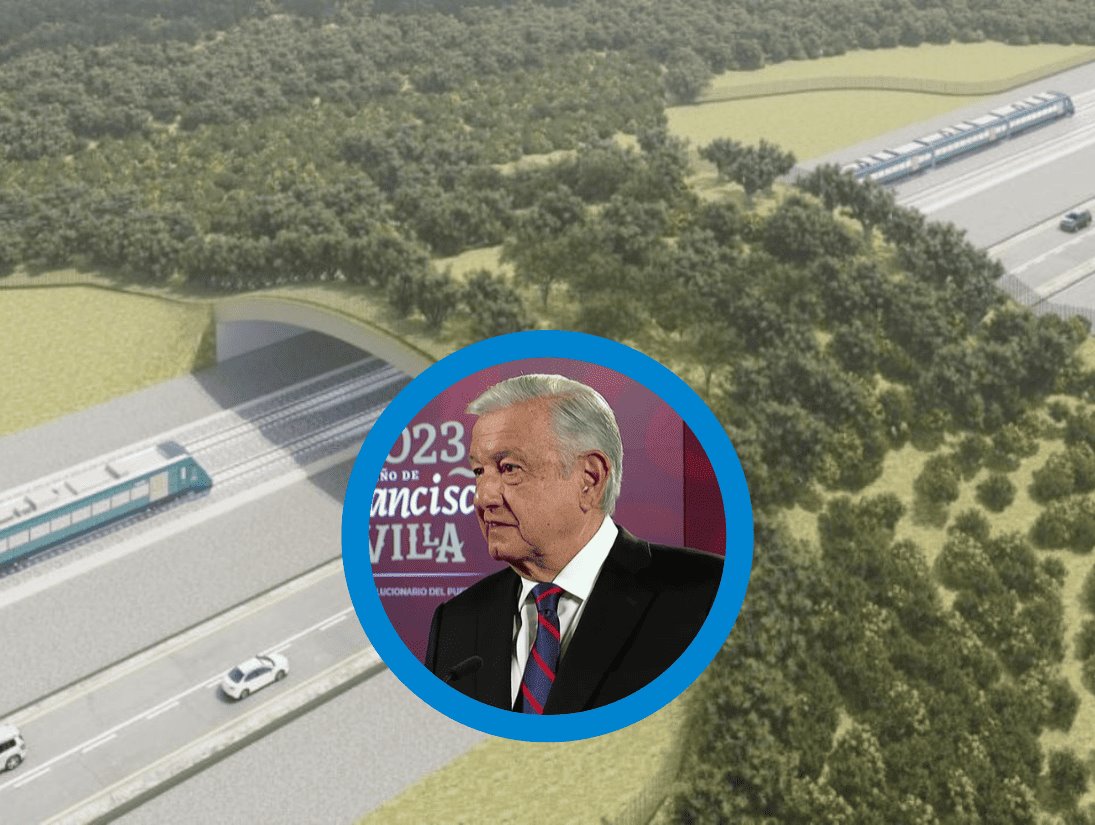 Tren Maya tendrá 500 pasos de fauna: AMLO