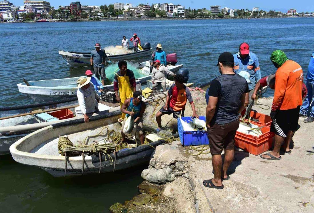 Escasean los productos del mar en Veracruz; pecadores están a la espera de lluvias