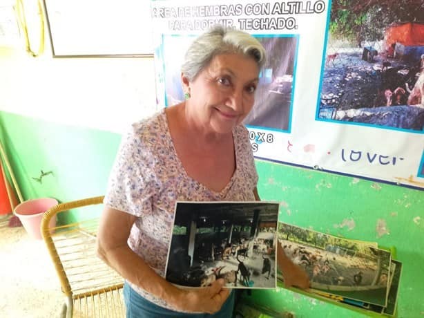 Albergue “La Roca” lleva 20 años resguardando a perros y gatos en Veracruz