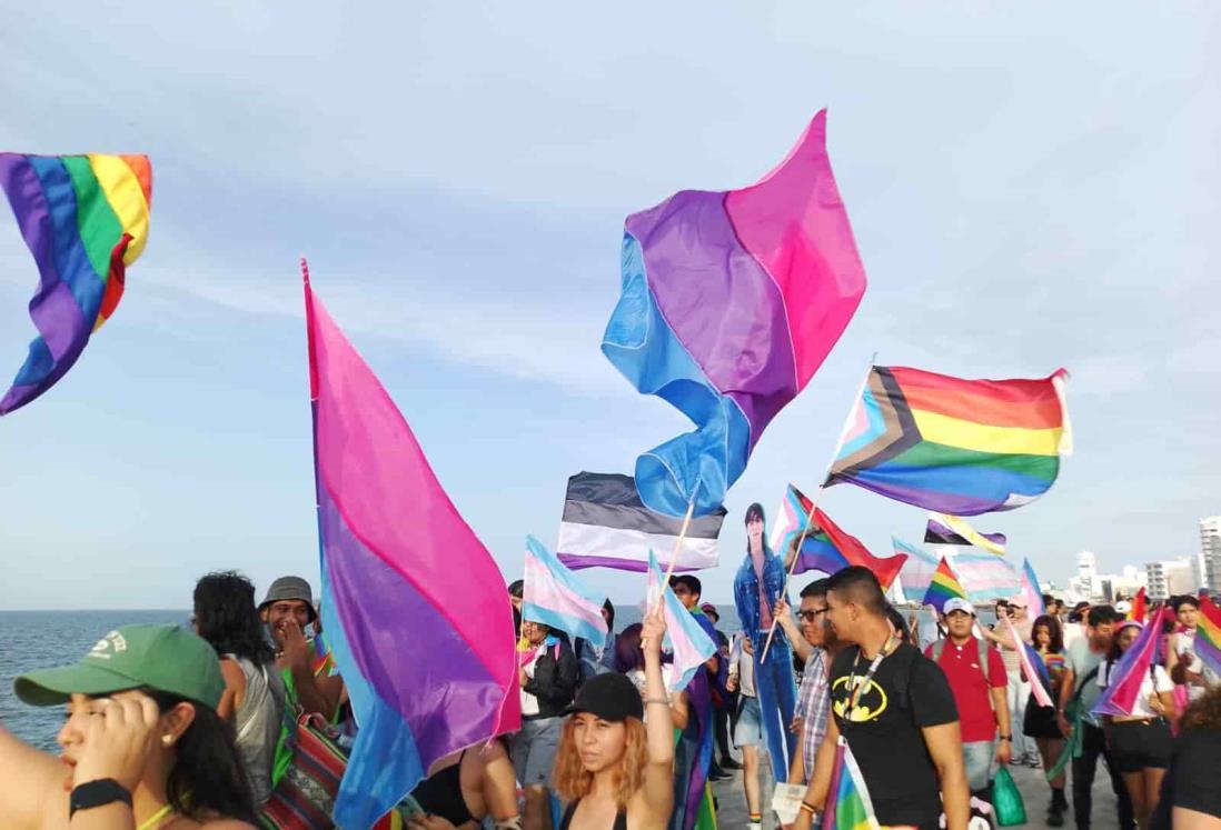 Excandidato a Rey del Carnaval de Veracruz niega que su padre haya participado en pelea durante marcha LGBTIQ+