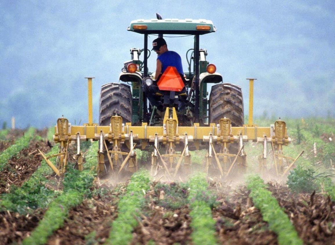 Ligero avance de la economía veracruzana