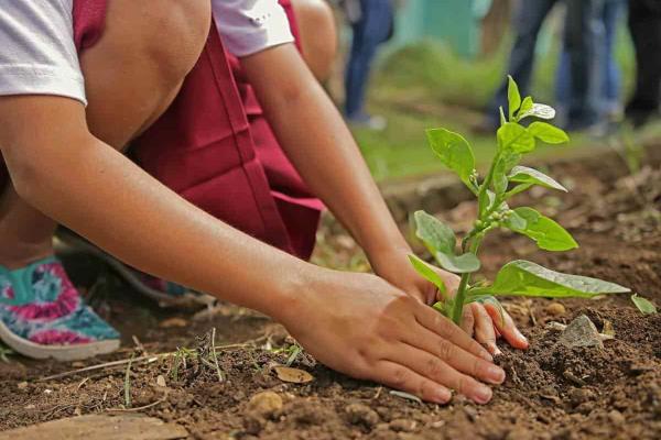 Medio ambiente saludable, un derecho humano inobjetable