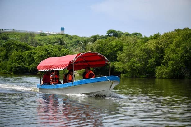 Laguna de Mandinga: En riesgo este paraíso natural de Alvarado, Veracruz