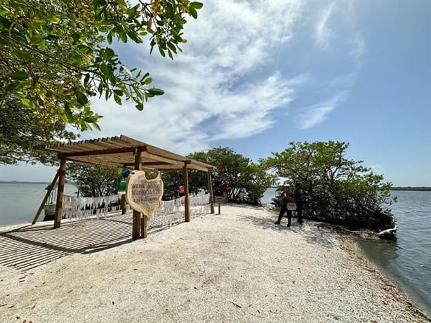 Laguna de Mandinga: En riesgo este paraíso natural de Alvarado, Veracruz