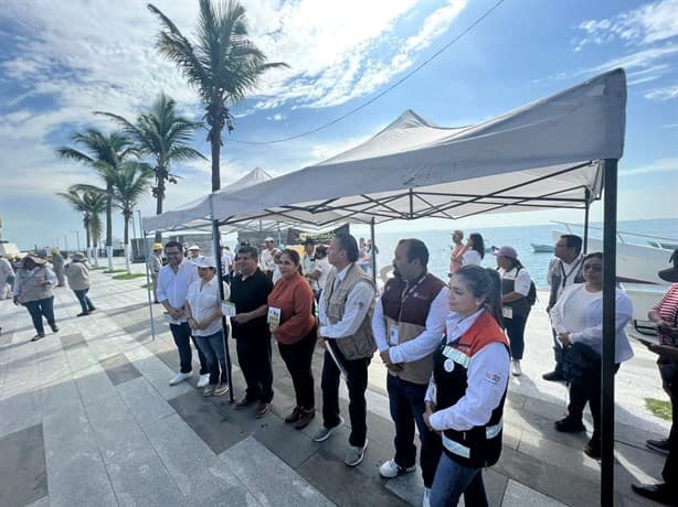 Veracruz ocupa el sexto lugar nacional en casos confirmados de dengue | VIDEO