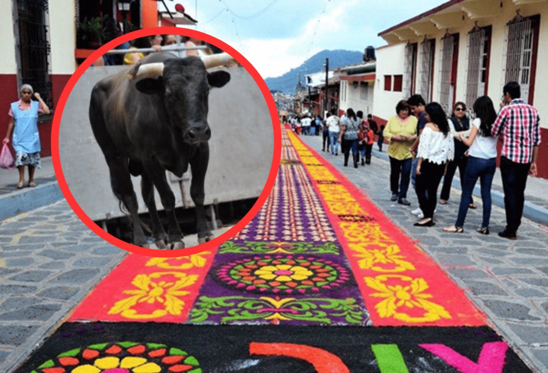 Xiqueñada deja 9 personas heridas por suelta de toros de lidia