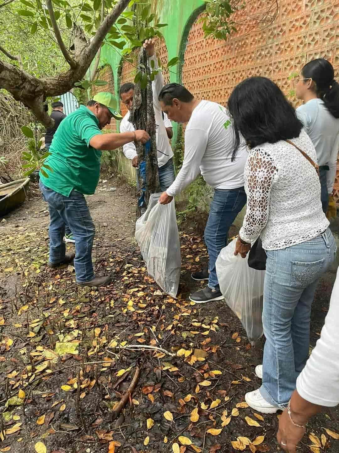 Realizan limpieza masiva de la laguna de Mandinga