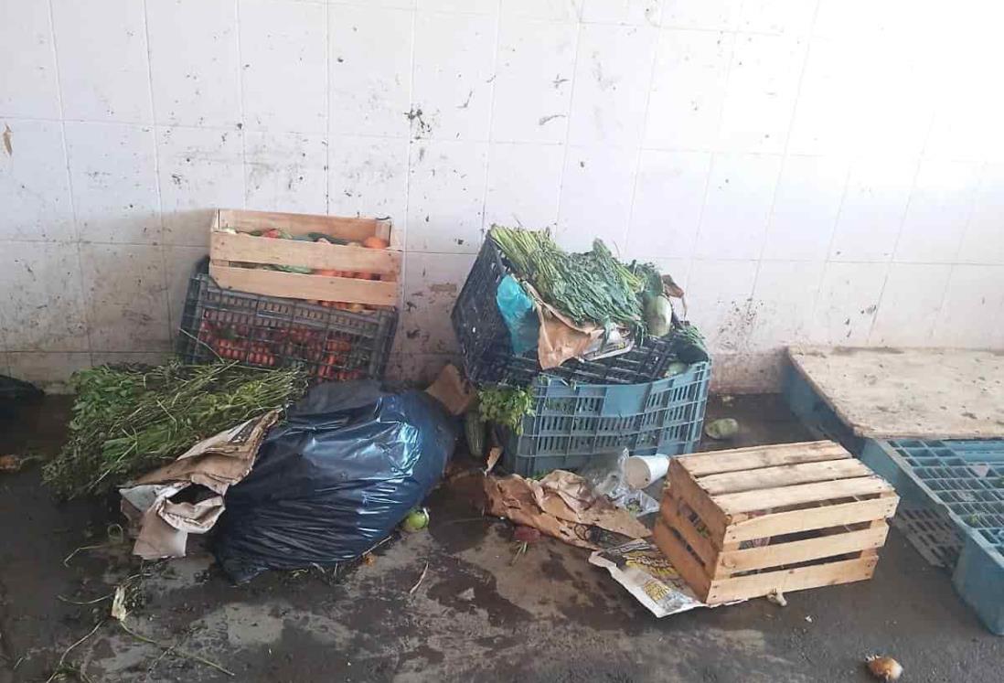 Mercado Malibrán: basura y moscas ahuyentan a clientes en Veracruz