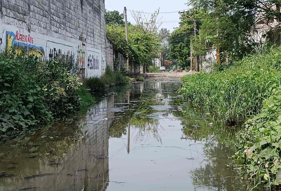 Registros y calles llenas de aguas negras son un foco de infección en la colonia Campestre, en Veracruz