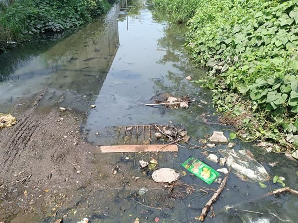 Registros y calles llenas de aguas negras son un foco de infección en la colonia Campestre, en Veracruz