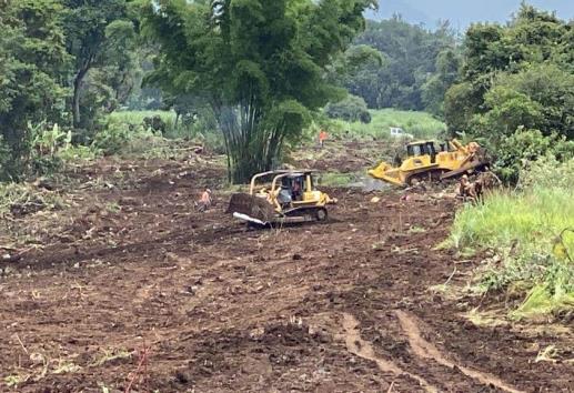 Por gestión de Eric Cisneros, Libramiento en Coatepec tumbará más de mil 200 árboles; en Xalapa  64 (+Video)